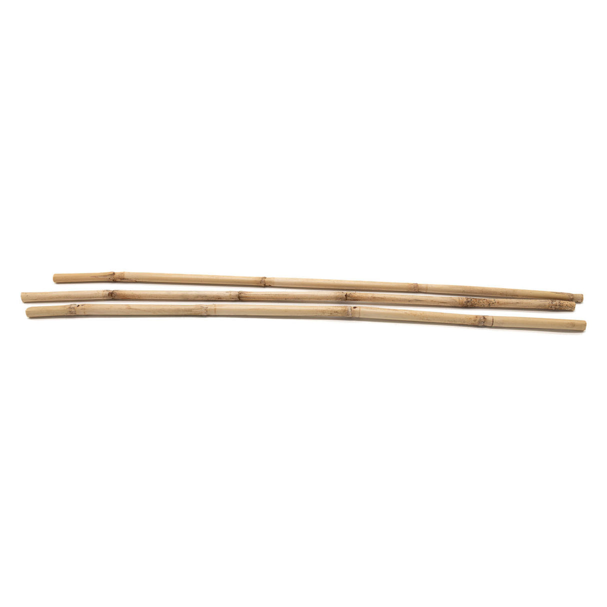 Colorations - Bamboo bâtons 50 cm, 3e.