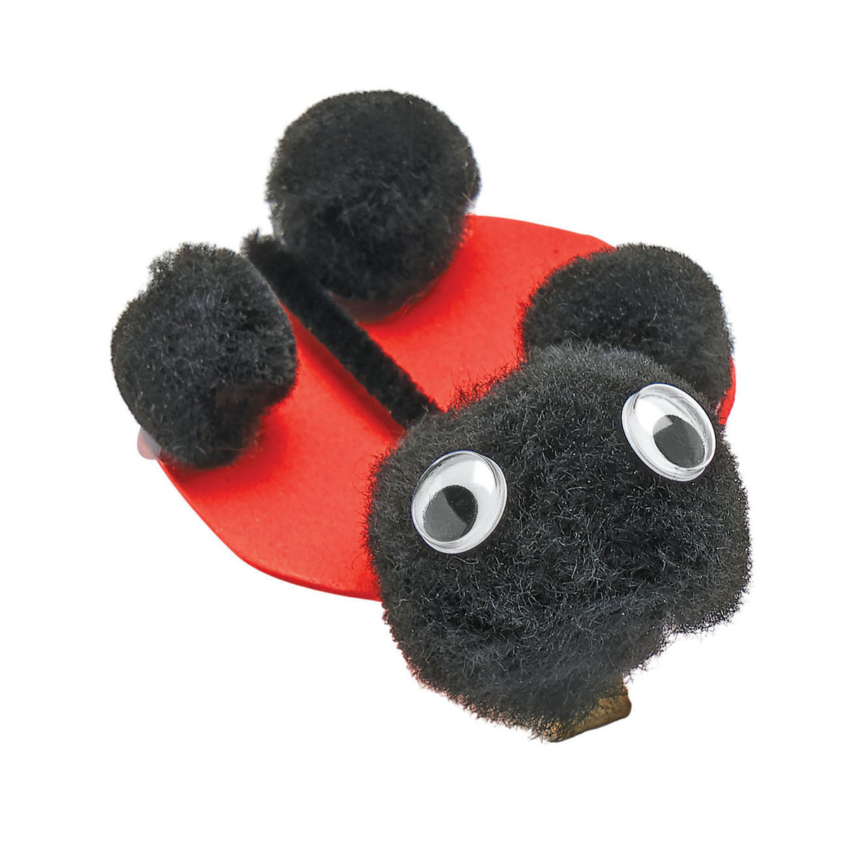 Colorations - Pom Pom noir, 100e.
