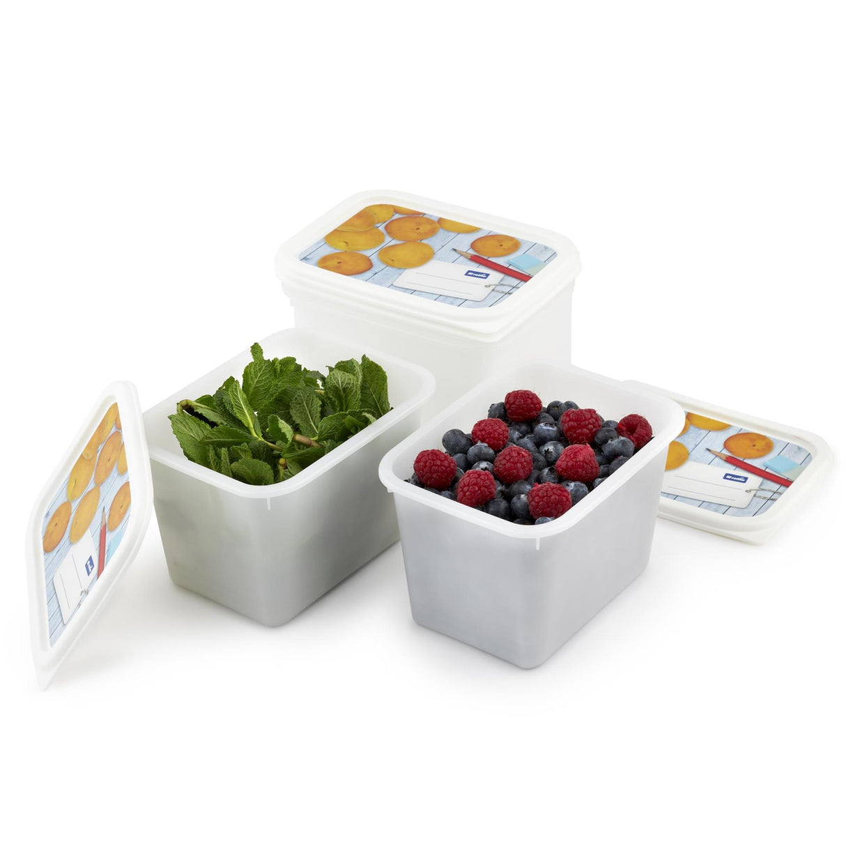 Coffret congélateur Rotho 4 pièces 1l