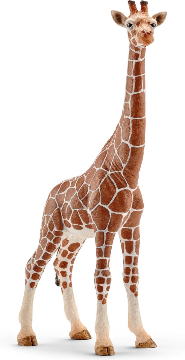 Schleich WILD LIFE Girafe Femelle 14750