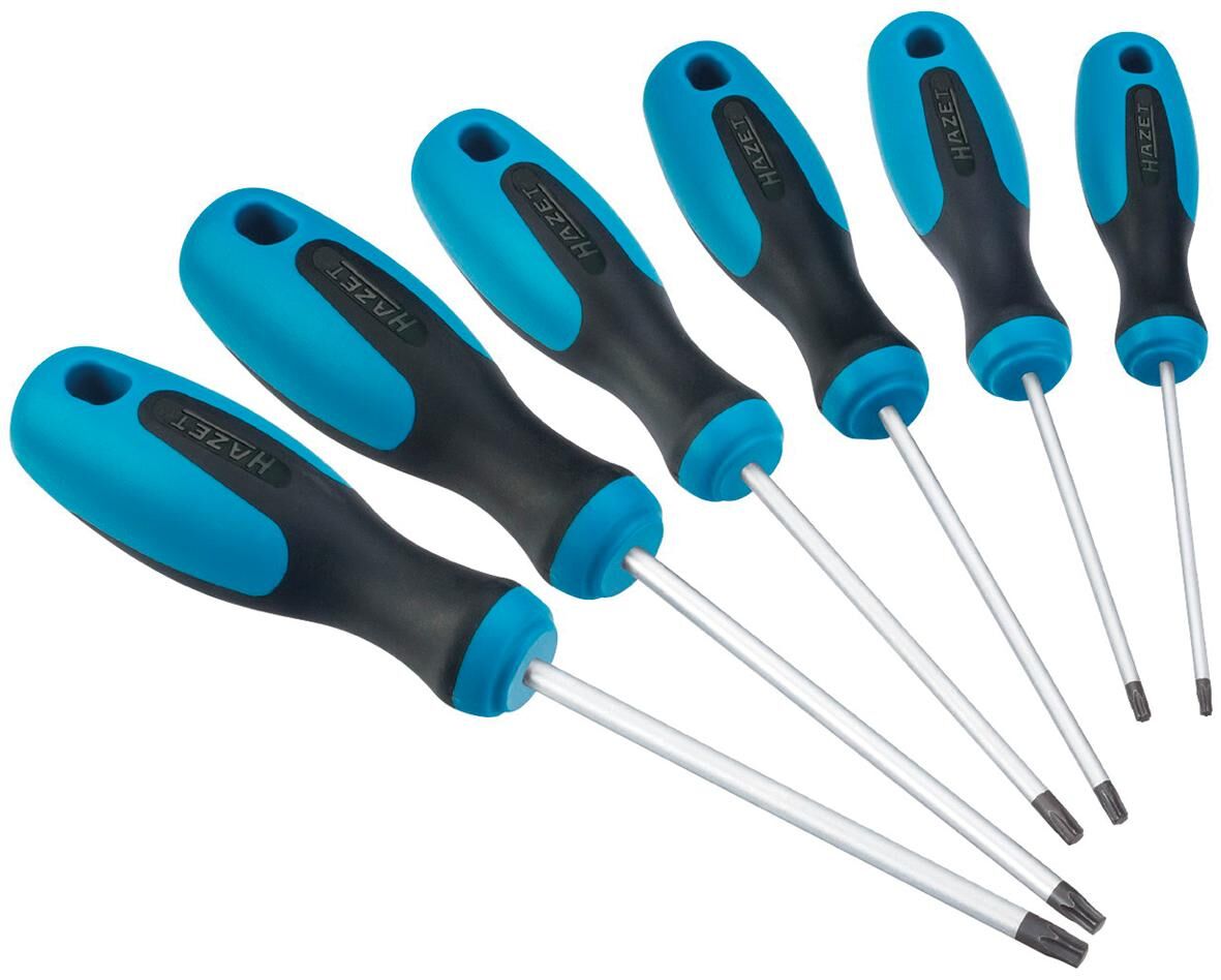 Hazet jeu de tournevis 810t 6 jeu de tournevis torx