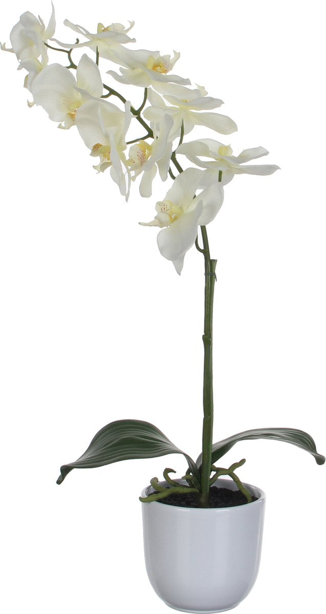 Mica decorations phalaenopsis kunstplant in bloempot tusca - h60 x ø16 cm - wit