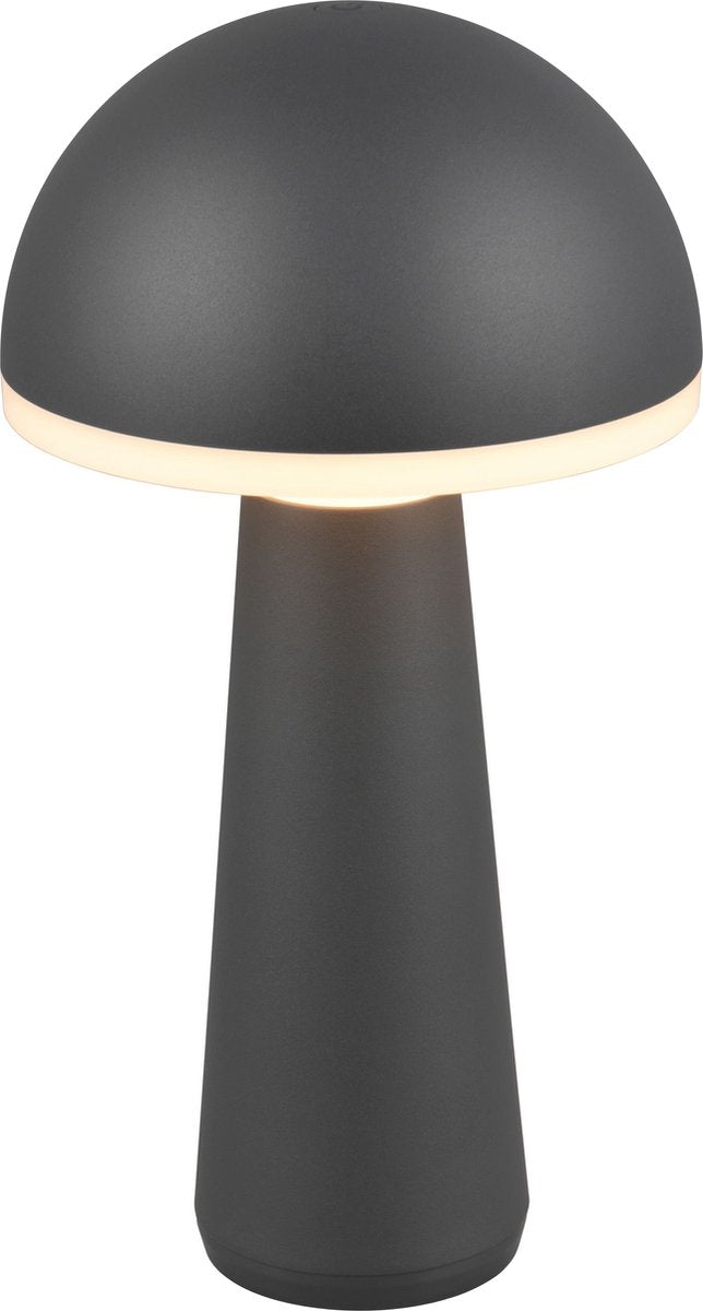 Rl live your light reality fungo - lampe de table - anthracite - incl. 1x SMD 2W - couleur de lumière réglable - intensité variable en continu - rechargeable - sans fil - éclairage extérieur - IP54