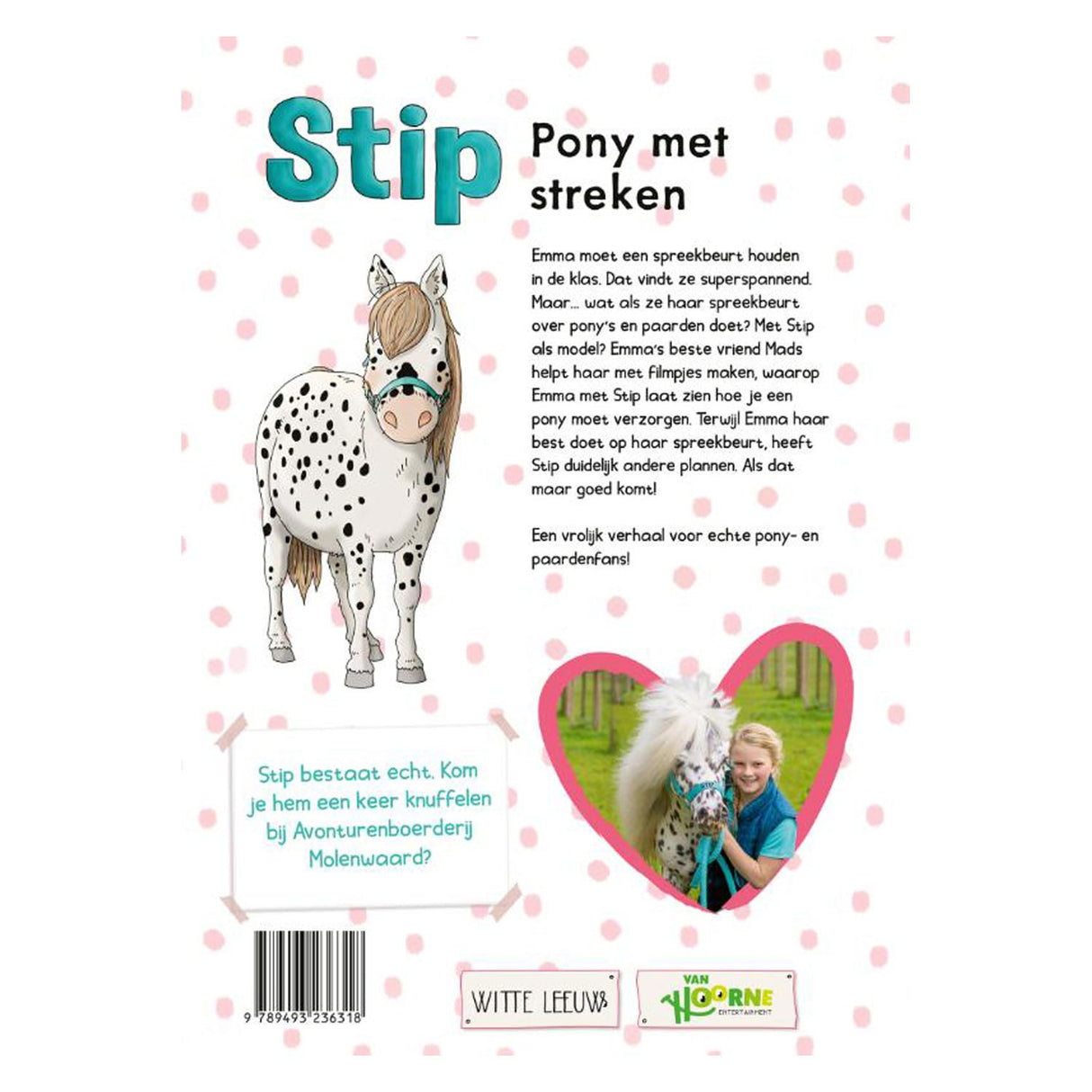 Wpg uitgevers stip poney avec les régions
