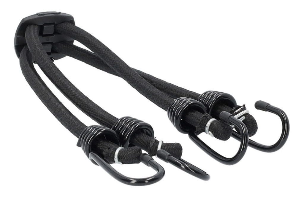 Bibia spin 4 bras 10x50 euro pince cul