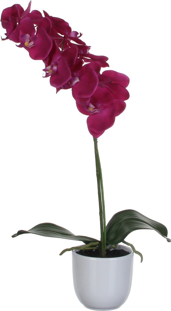Mica decorations phalaenopsis kunstplant in bloempot tusca - h60 x ø16 cm - paars