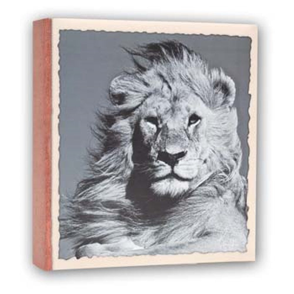 Zep WL57100 Album Slip -in 100 photos 13x19 cm - 12 albums