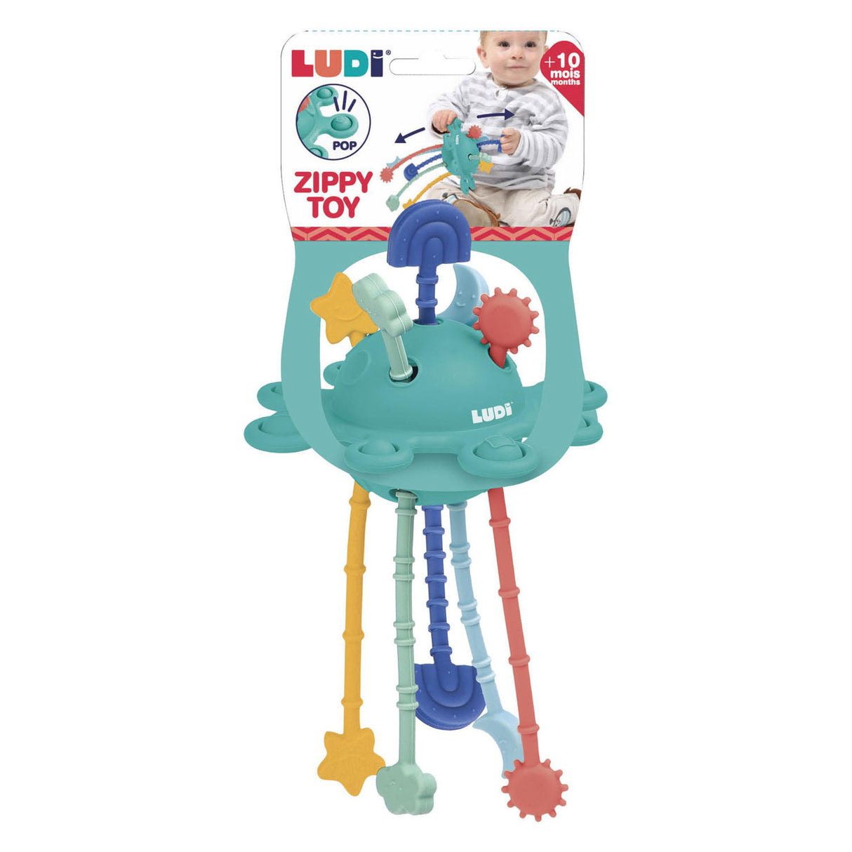 Jouet d'activité zippy pour bébé Ludi