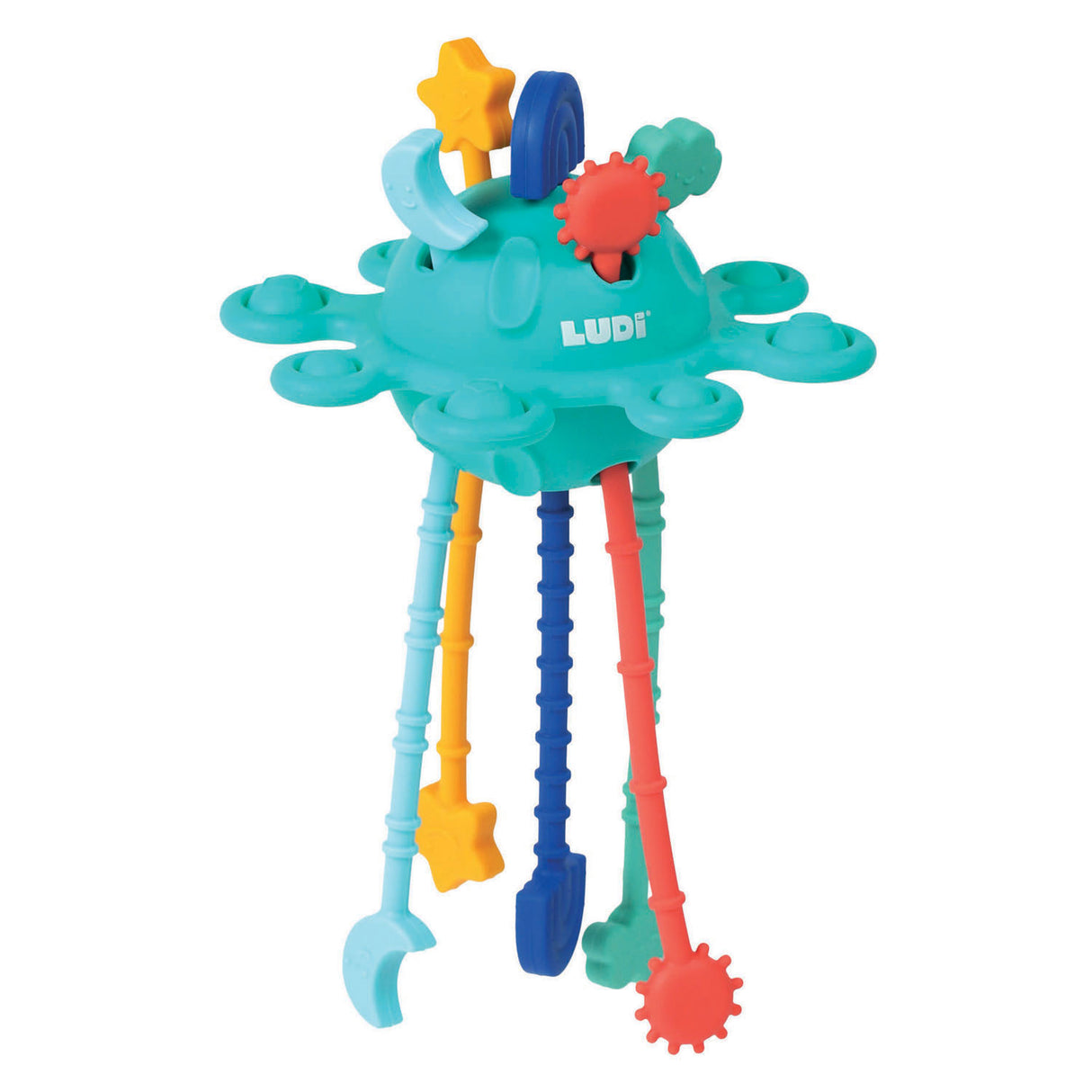 Jouet d'activité zippy pour bébé Ludi