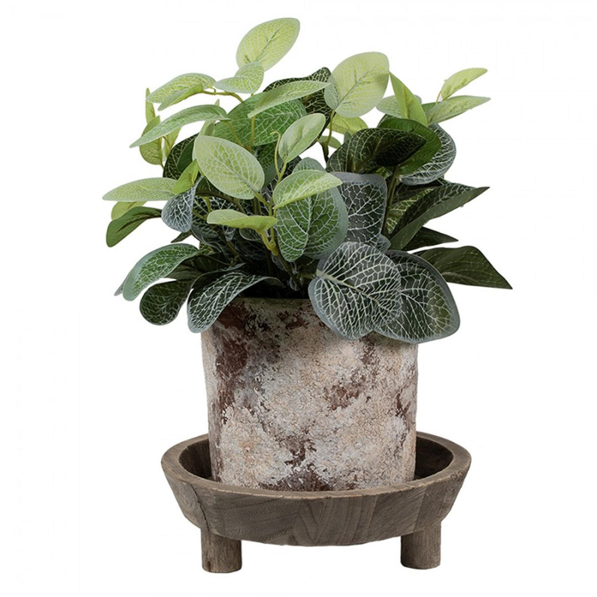 Bol décoration boeuf Clayre ø22x7cm