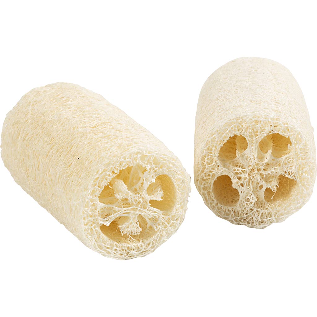 Réalisation Tmf Tormino https: www.ccobby.nl natural-loofah-sponge-l-10-cm-d-5-5-8-cm-light-natural-2-piece-1-box