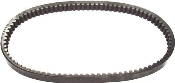 Courroie trapézoïdale Malossi renforcée et rigidifiée, la plus large 22x830mm