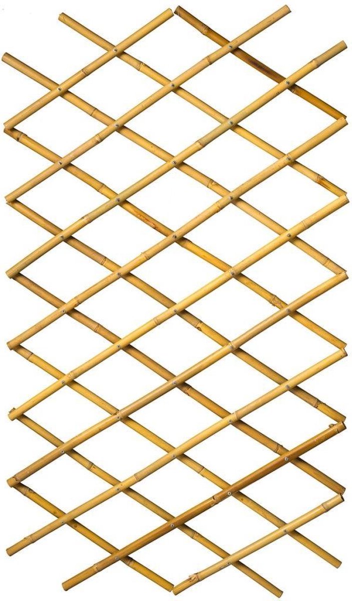 Nature latwerk pour jardin 45x180 cm BAMBO 6040720