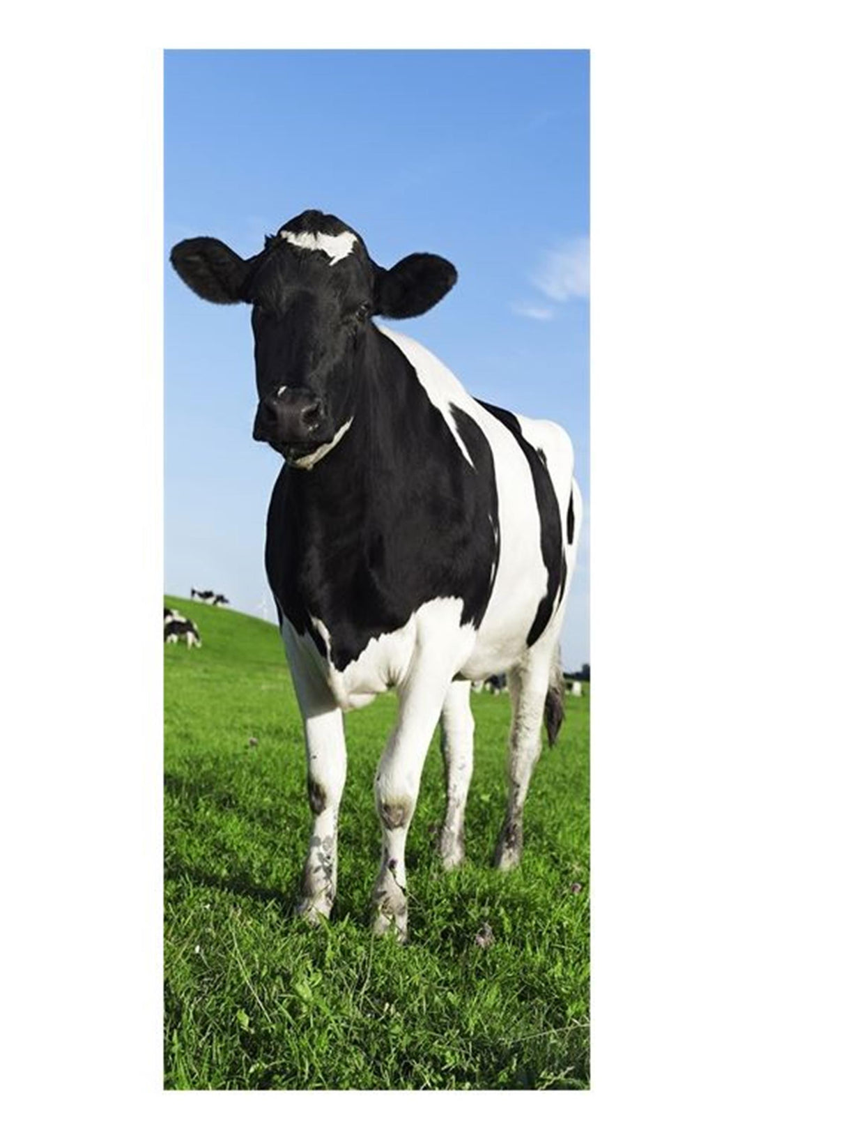 B-living bannière vache bella 75x180cm