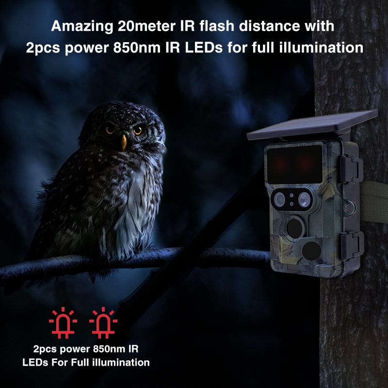 Caméra de faune solaire WiFi 4k à double caméra engoulevent à équipement furtif