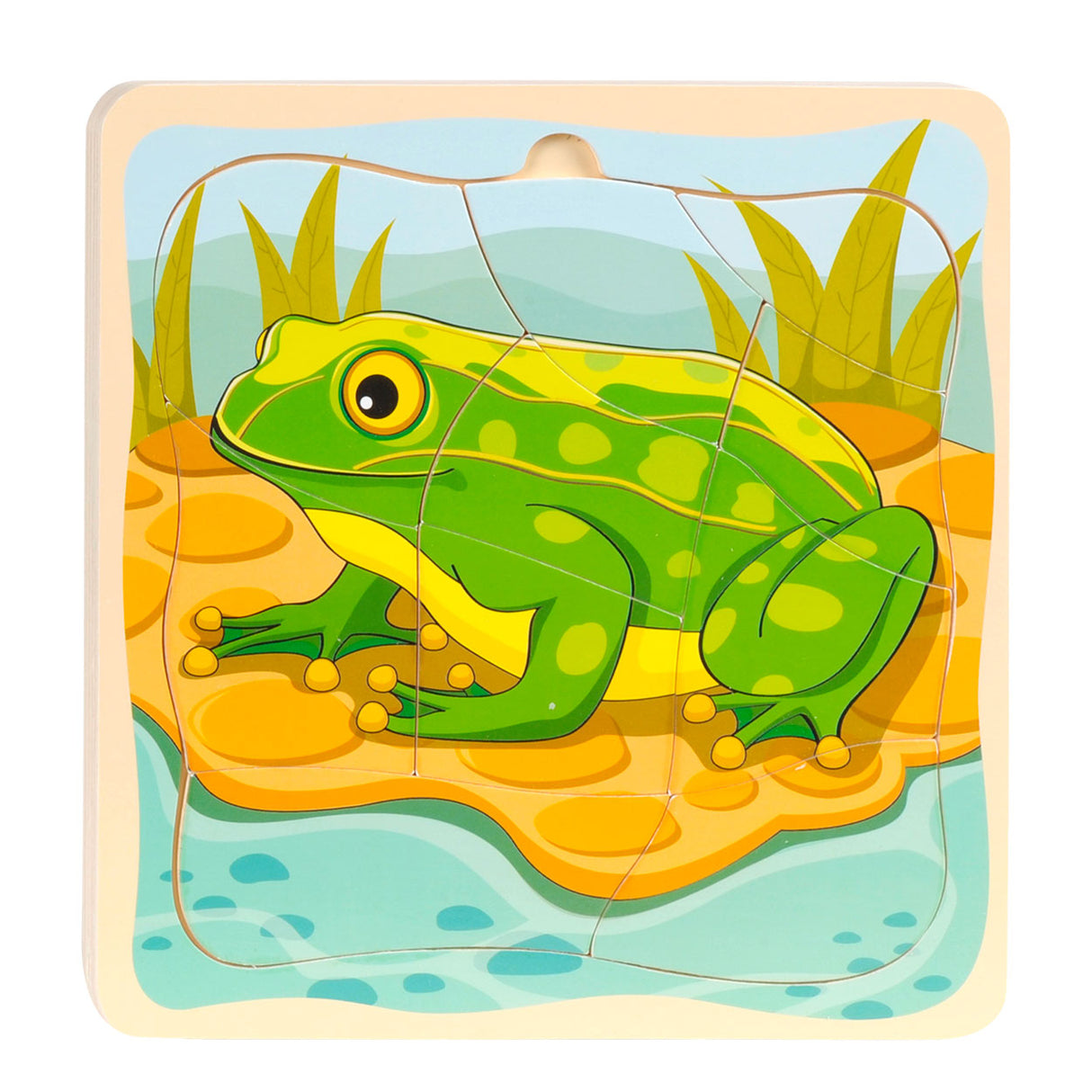 Grenouille de cycle de puzzle de couches Topbright