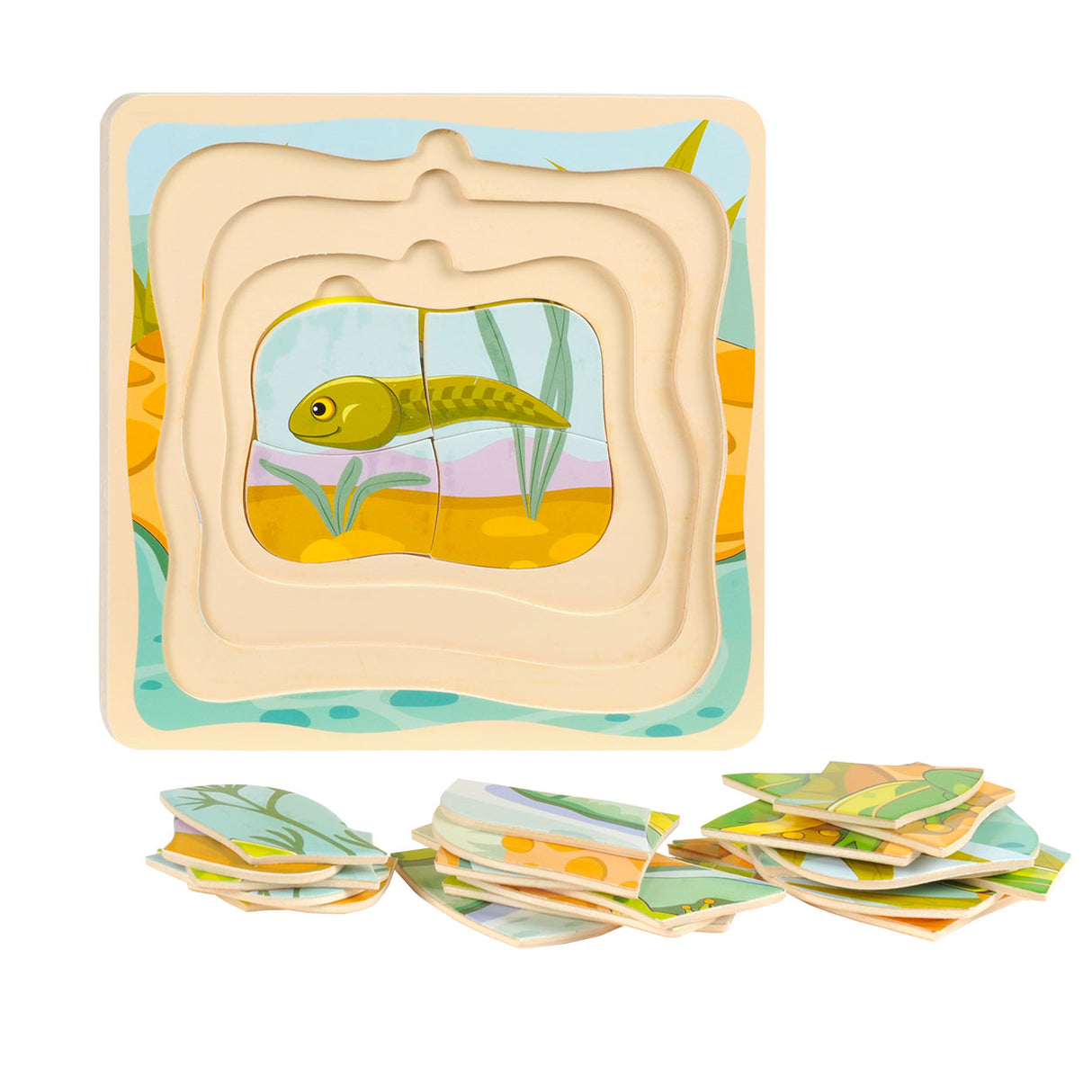Grenouille de cycle de puzzle de couches Topbright