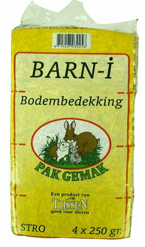 Bern-i pack-ease