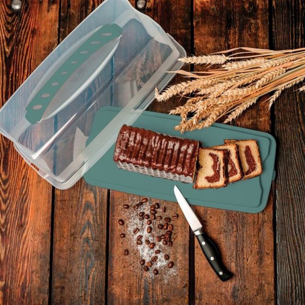 Rotho boîte à gâteaux frais rectangle 36x16,5x16,5 cm vert gui