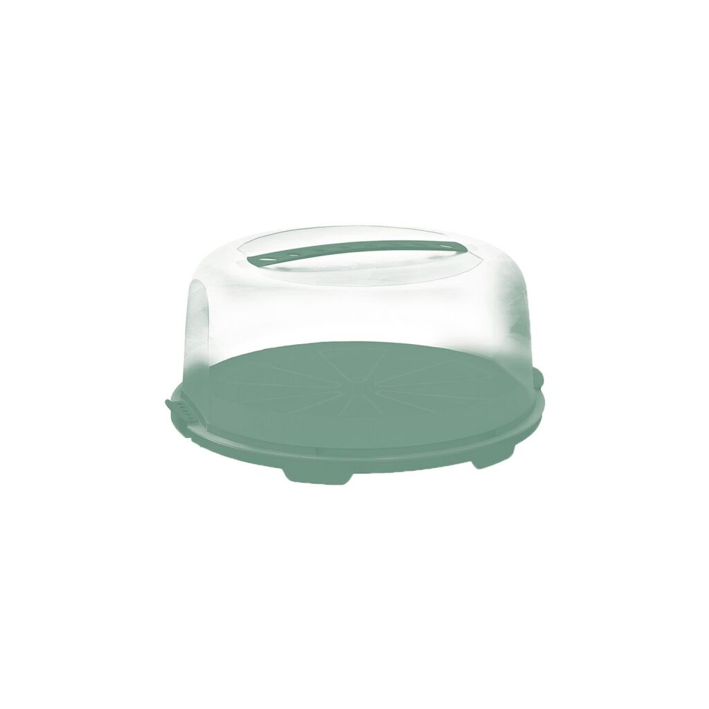 Boîte à gâteaux frais Rotho haute vert gui