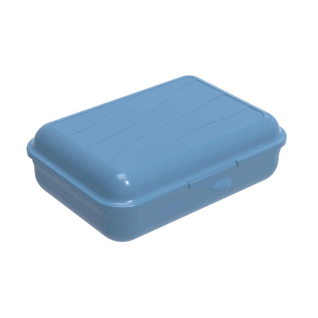 Rotho boîte à lunch amusante 1,25l bleu horizon
