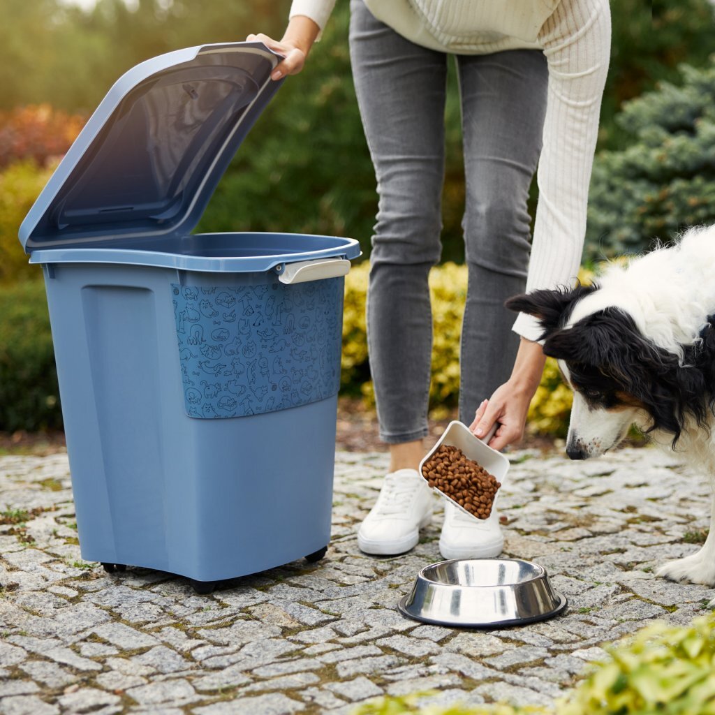 Rotho Rotho Archie Conteneur de nourriture pour animaux 38L Bleu