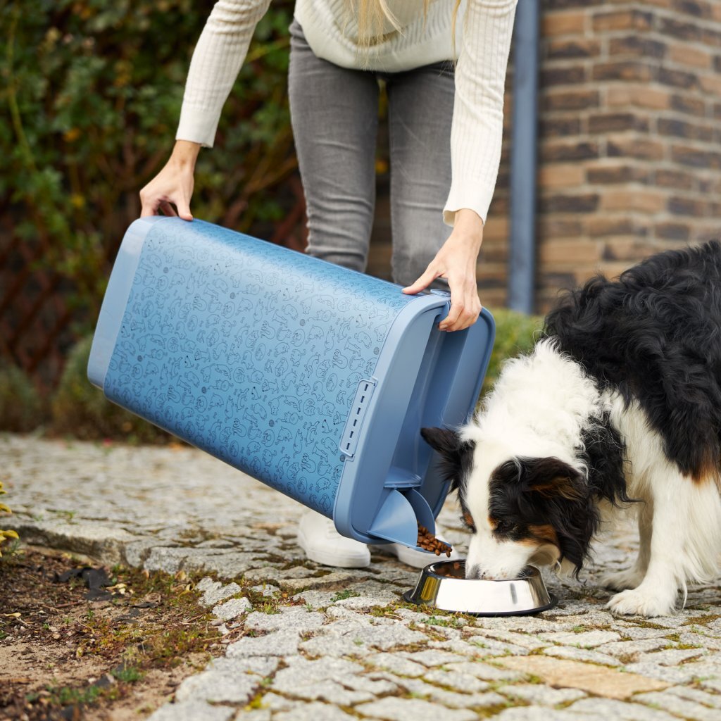 Rotho Rotho Cody Conteneur de Nourriture pour Animaux 50L Bleu
