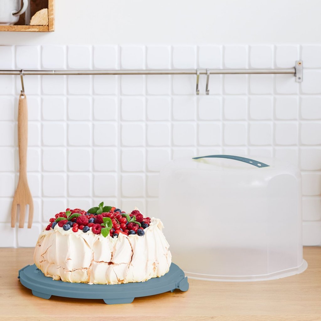 Rotho boîte à gâteaux frais xl 35,5x34,5x26 cm bleu horizon transparent