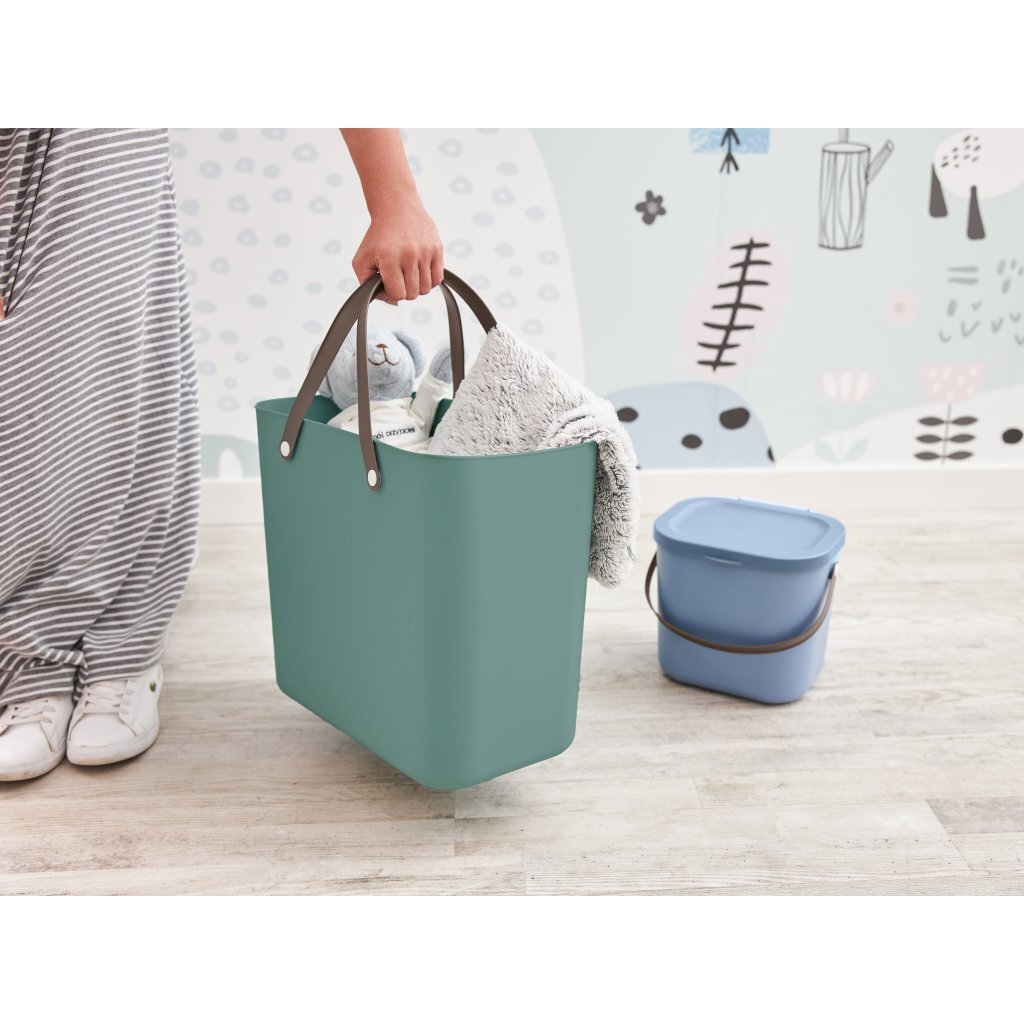 Rotho système de stockage albula 25l vert gui