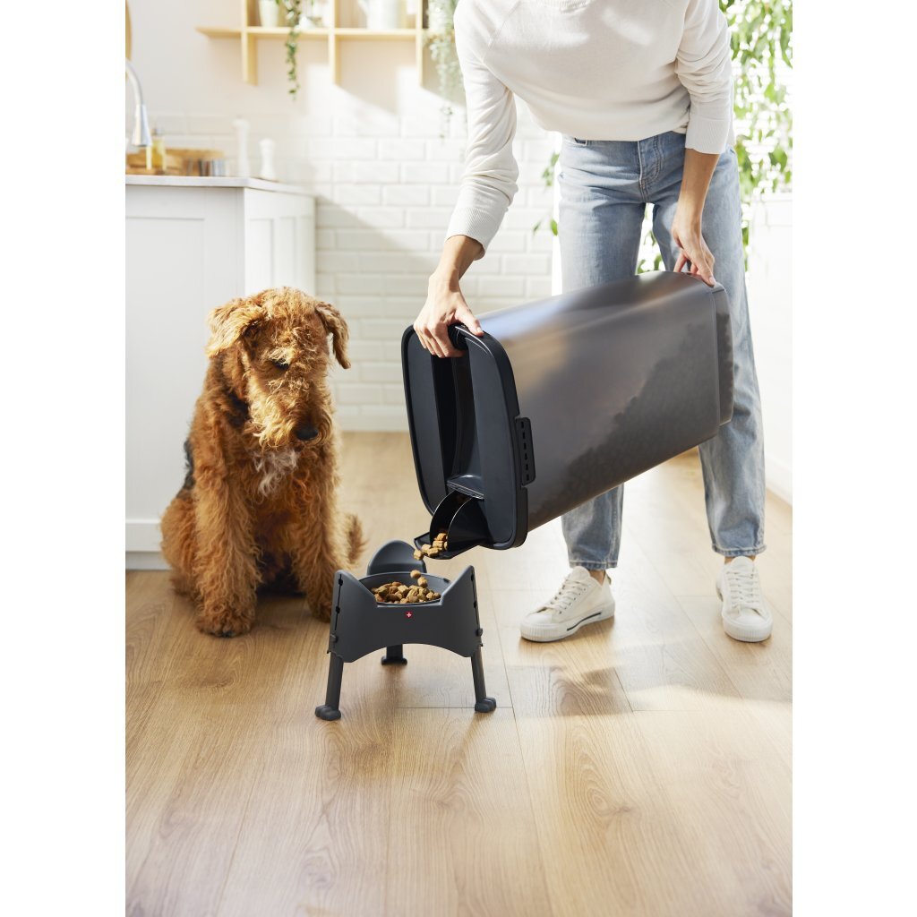 Rotho cody récipient à nourriture pour animaux 50l anthracite transparent