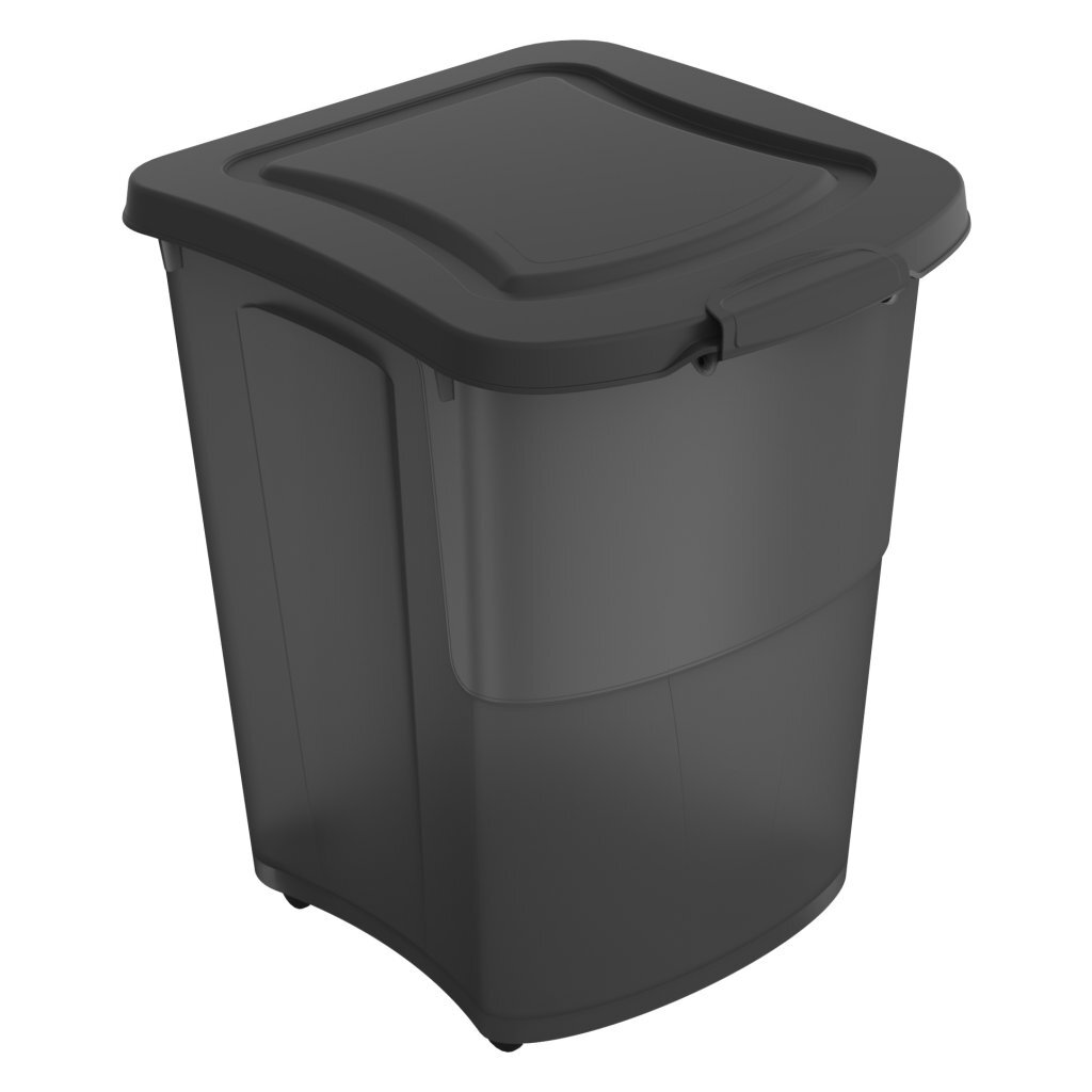 Rotho archi récipient à nourriture pour animaux 38l anthracite transparent