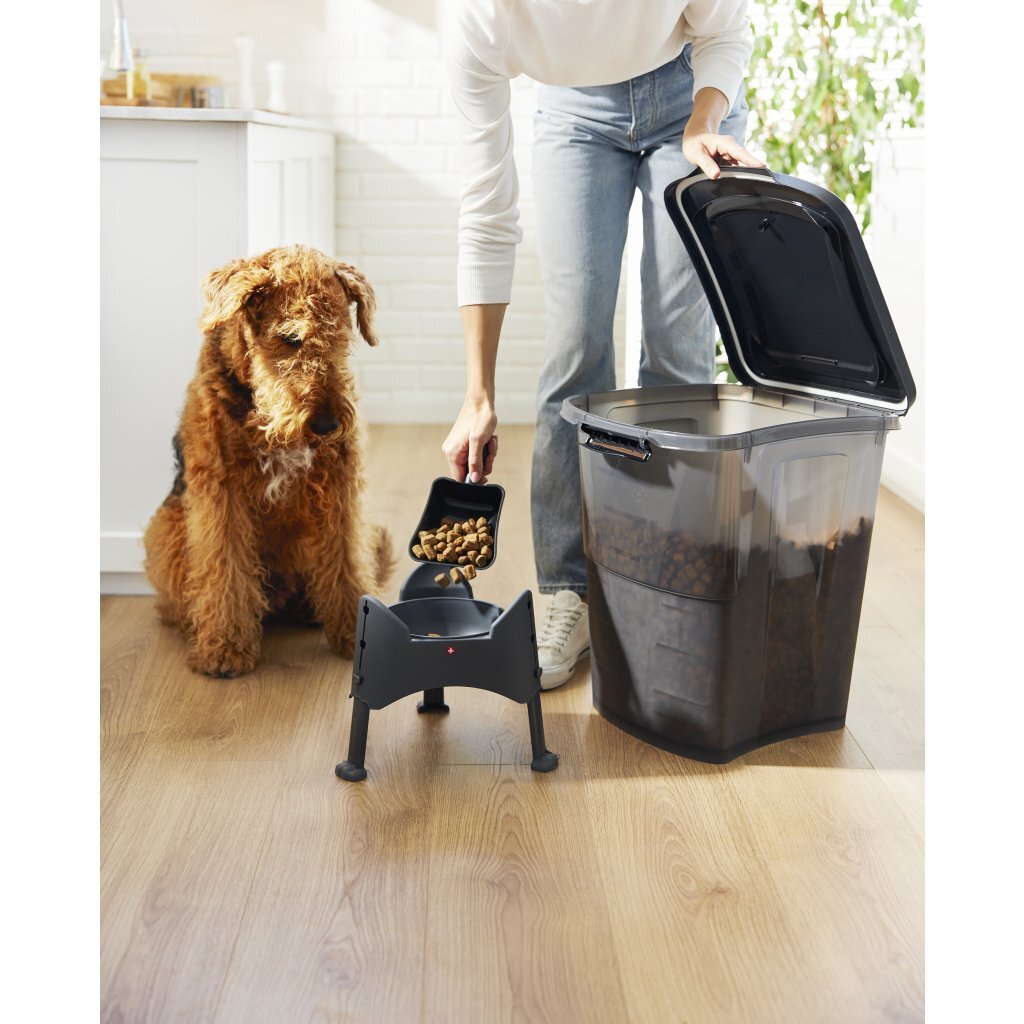 Rotho archi récipient à nourriture pour animaux 38l anthracite transparent