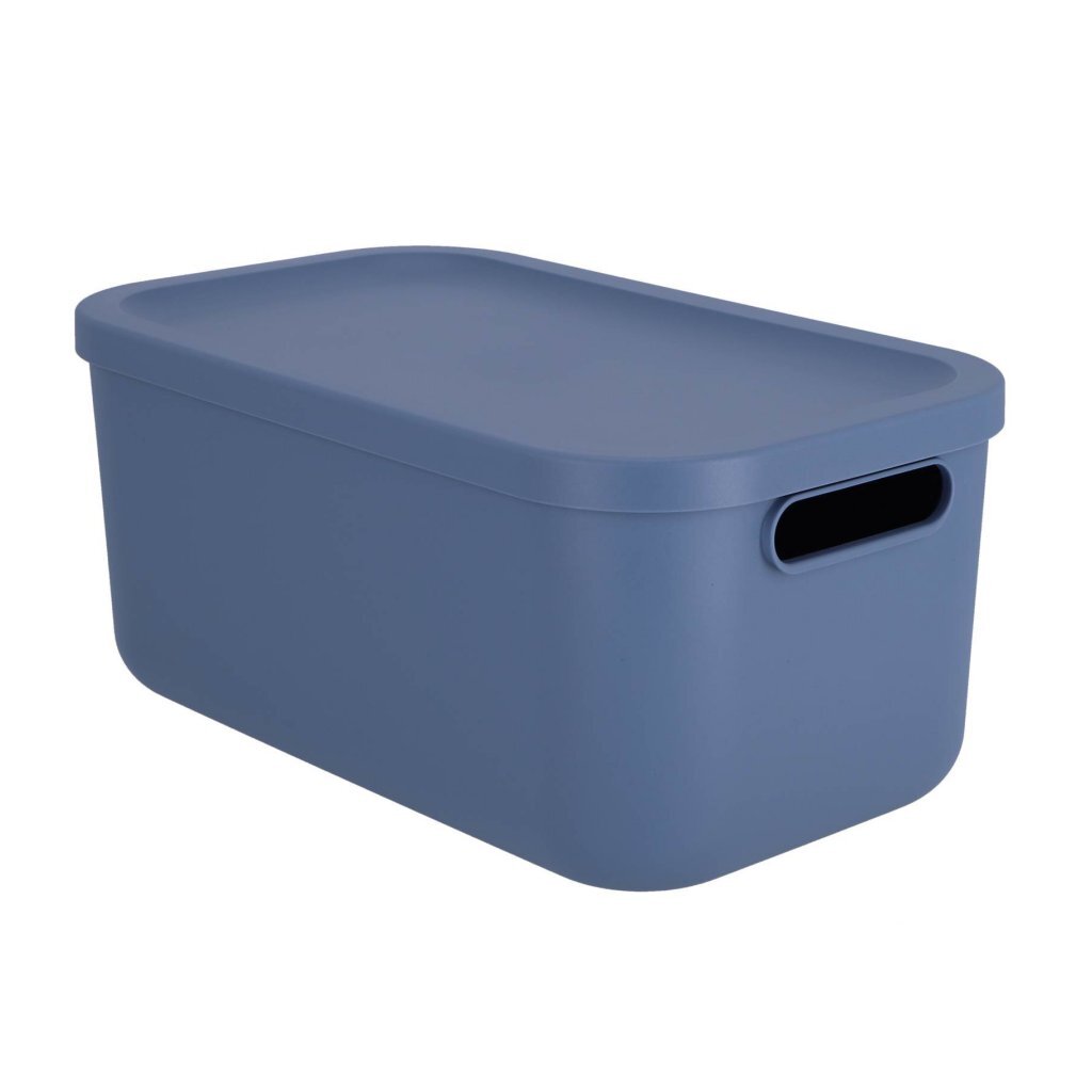 Rotho albula boîte de rangement 12l bleu horizon