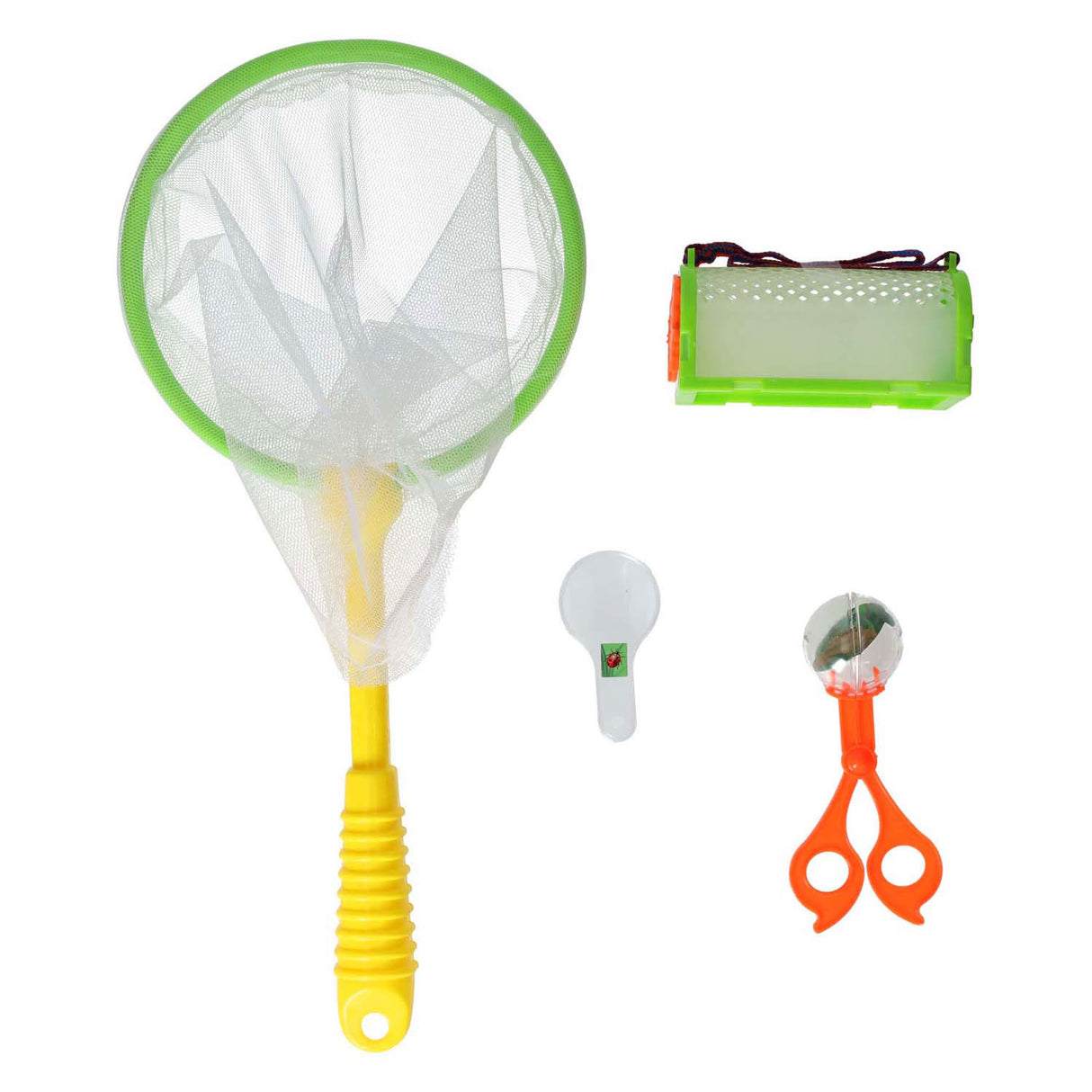 Ensemble de capture d'insectes et pot d'observation Bugs World