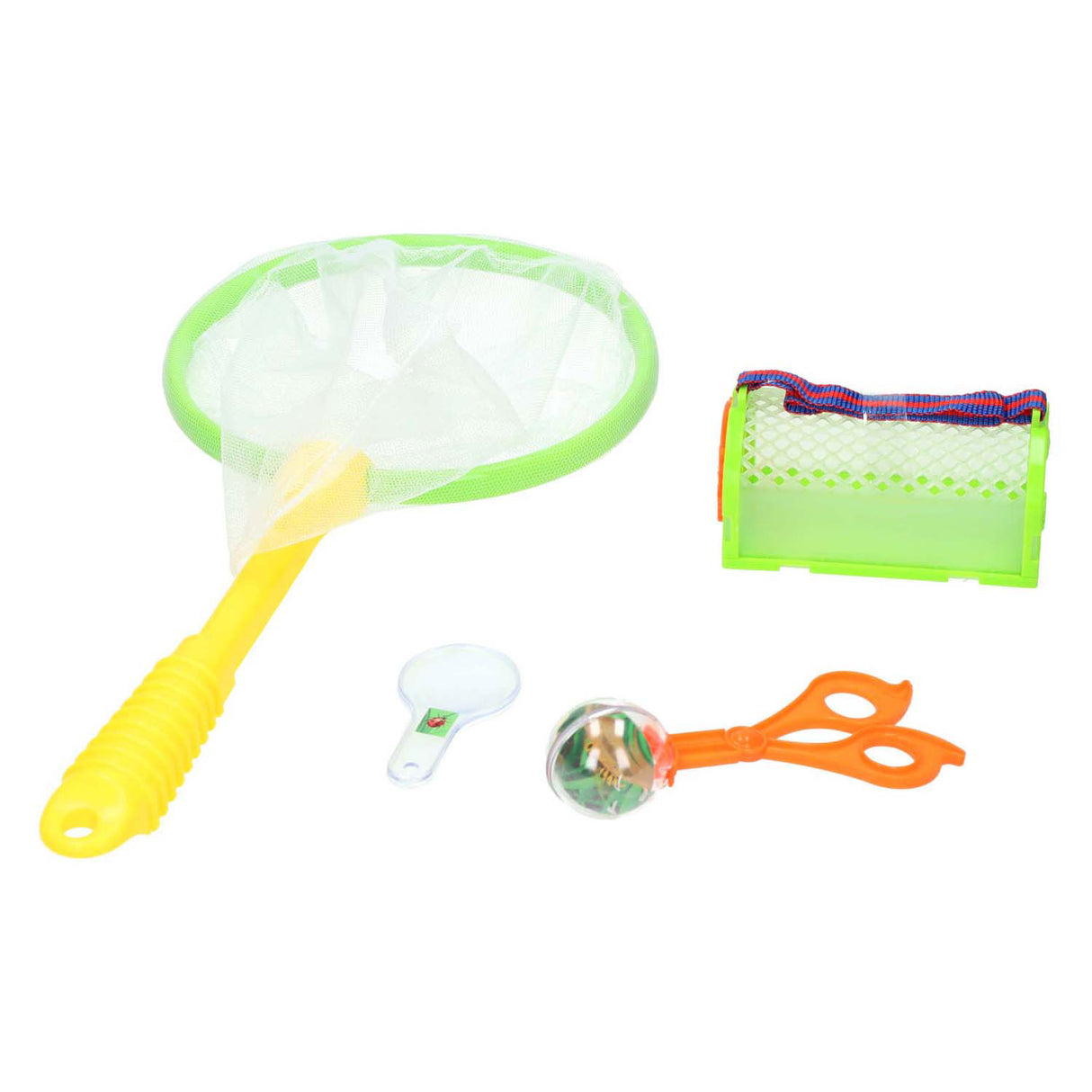 Ensemble de capture d'insectes et pot d'observation Bugs World
