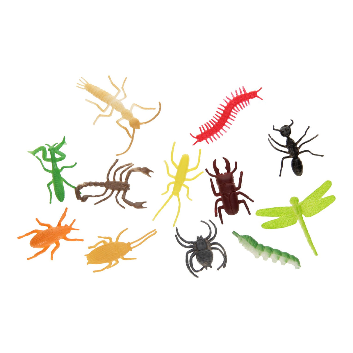 Insectes, 12 pièces.
