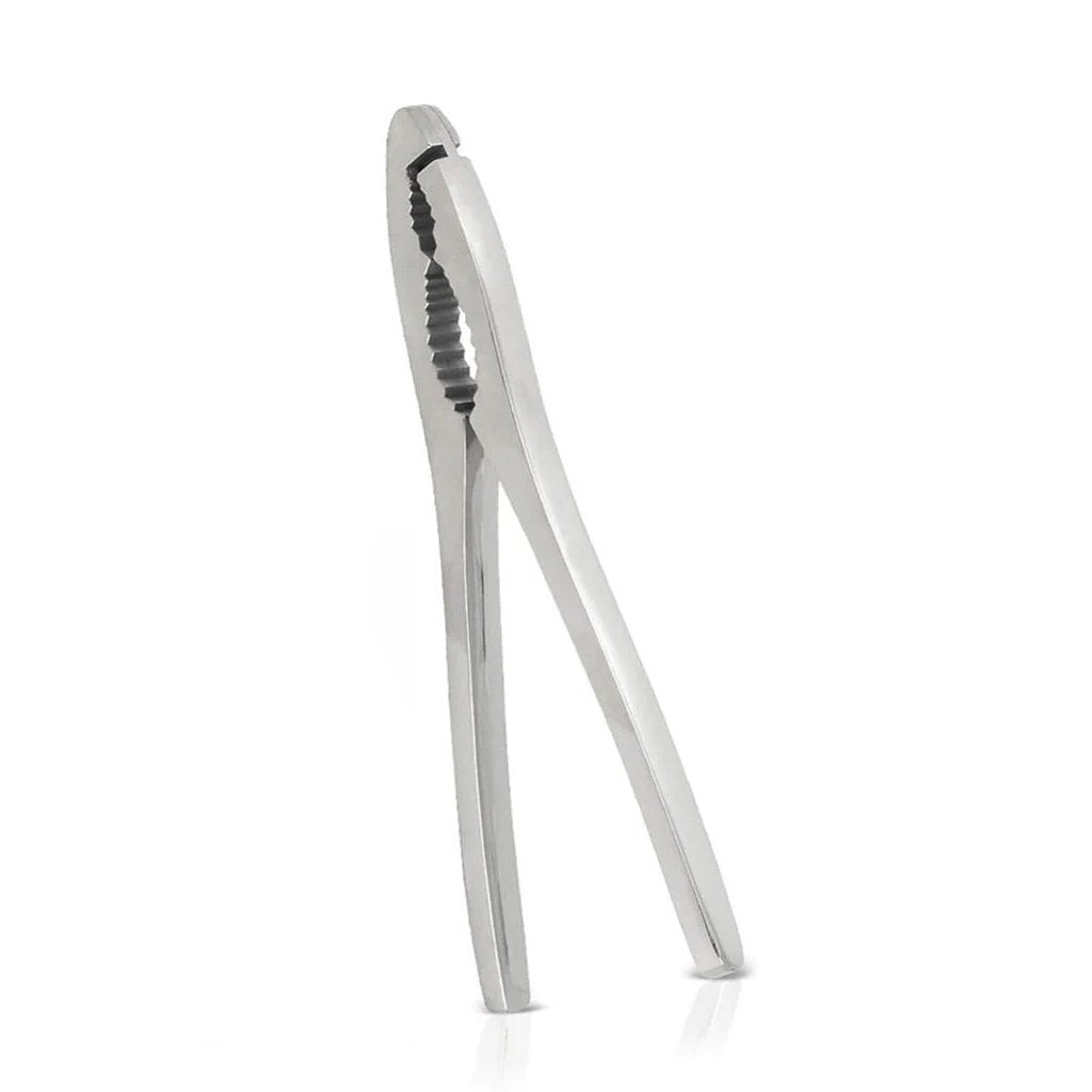 Pince à crustacés Metaltex en acier inoxydable
