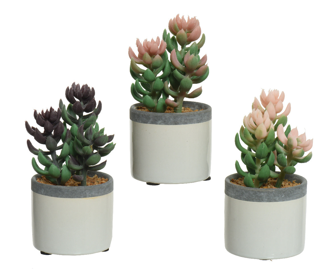 Decoris plante artificielle plante succulente en pot en céramique h14