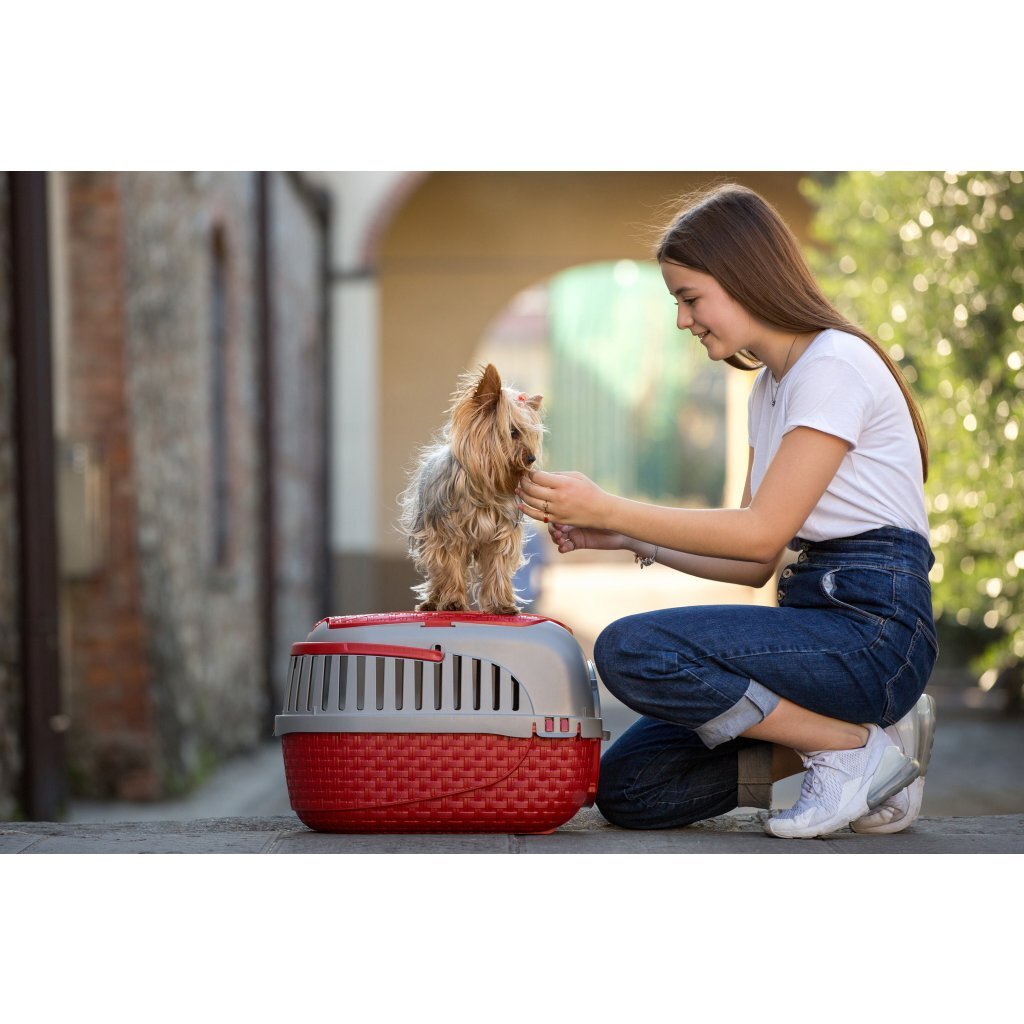Boîte de transport pour animaux Bama 59x38x37 cm rouge argent
