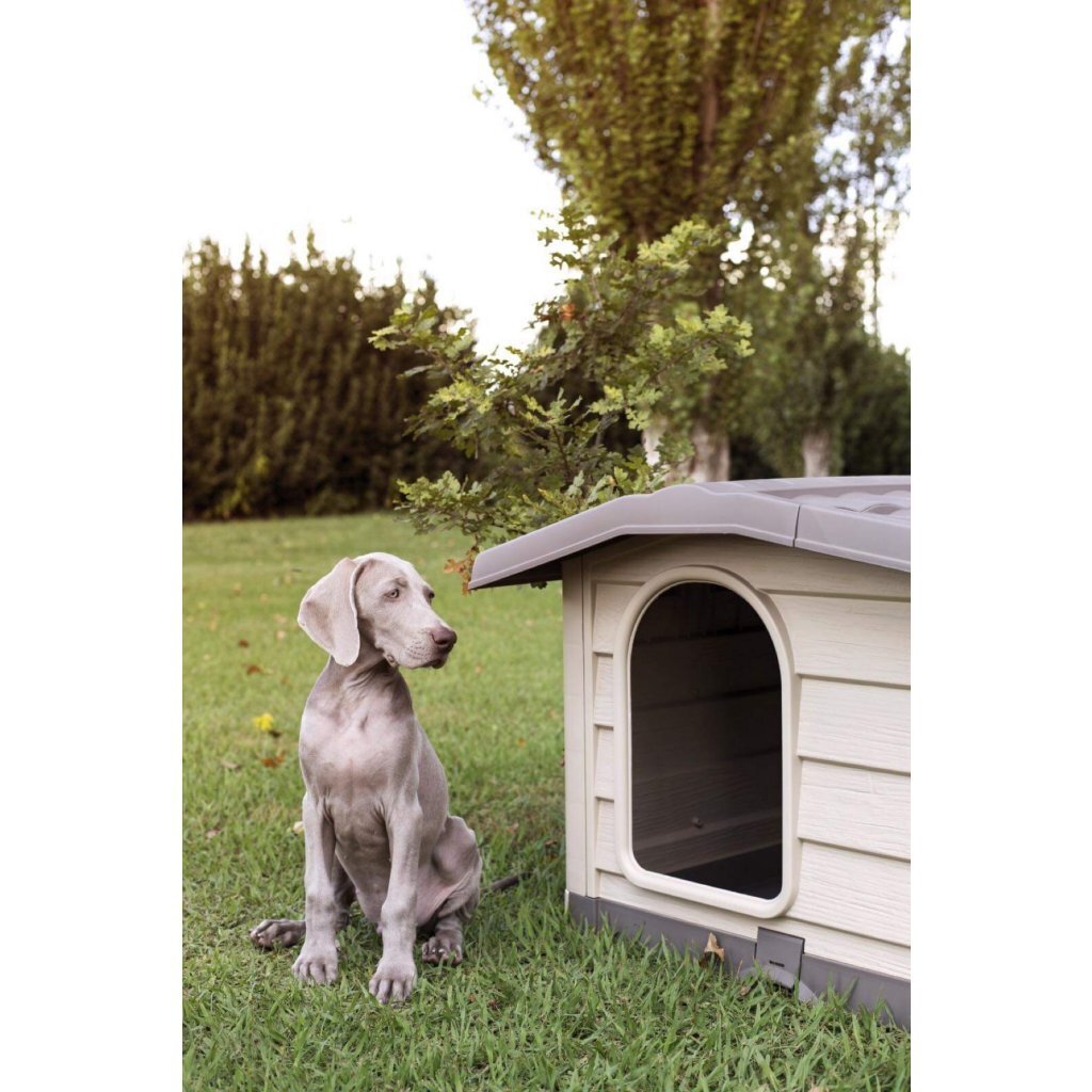 Bama pet niche pour chien cuccia 110x94x77 cm beige taupe