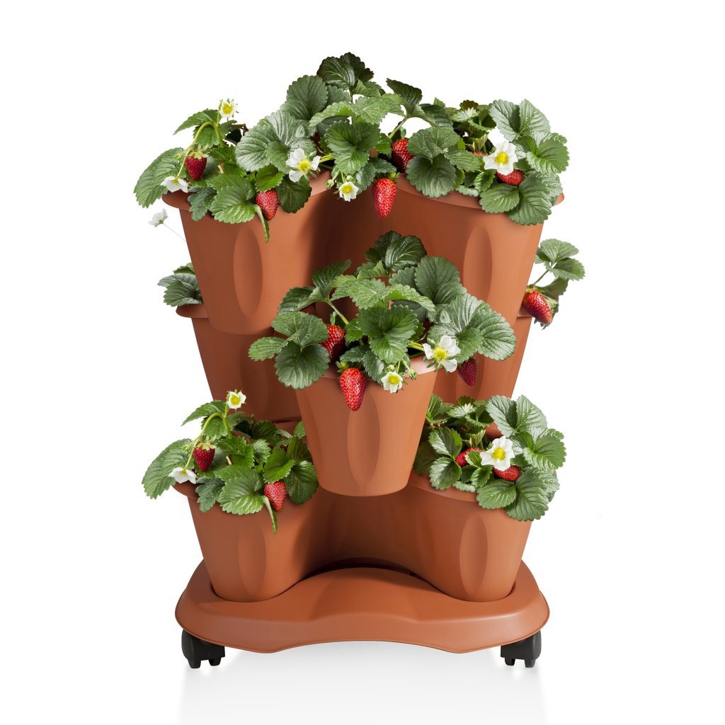 Bama trifoglio jardinière à roulettes 40x51 cm terre cuite