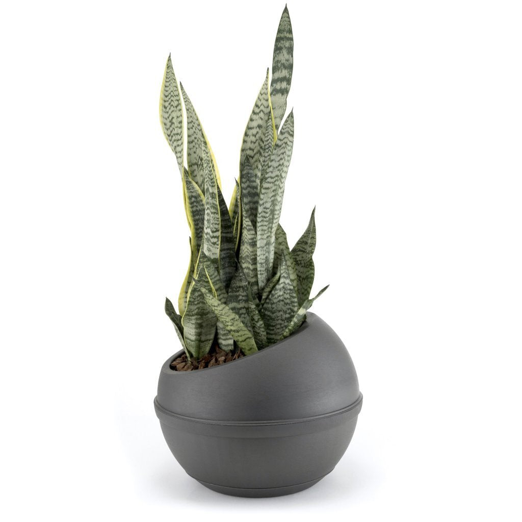 Pot de fleur Bama sfera 23l 40,5x32 cm anthracite