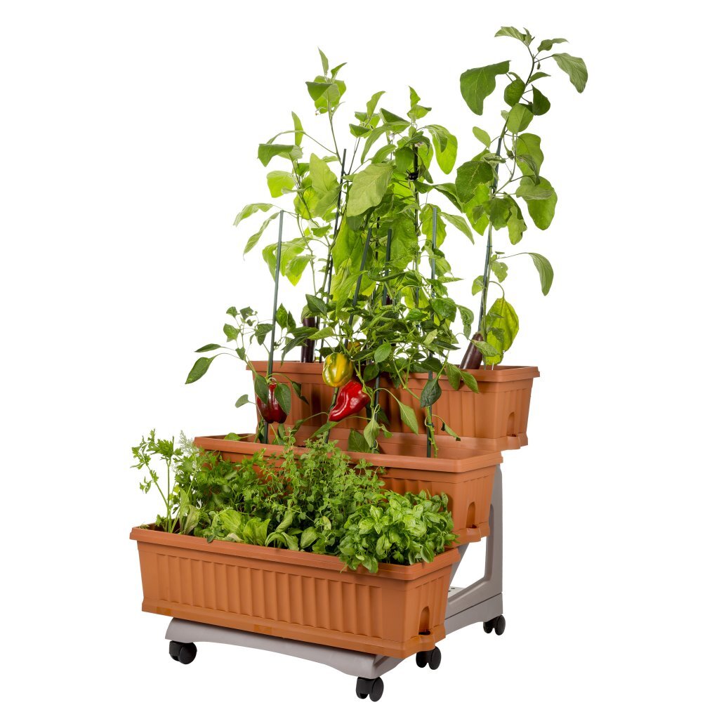Bama orto di kit jardinières 80x74x73 cm terre cuite