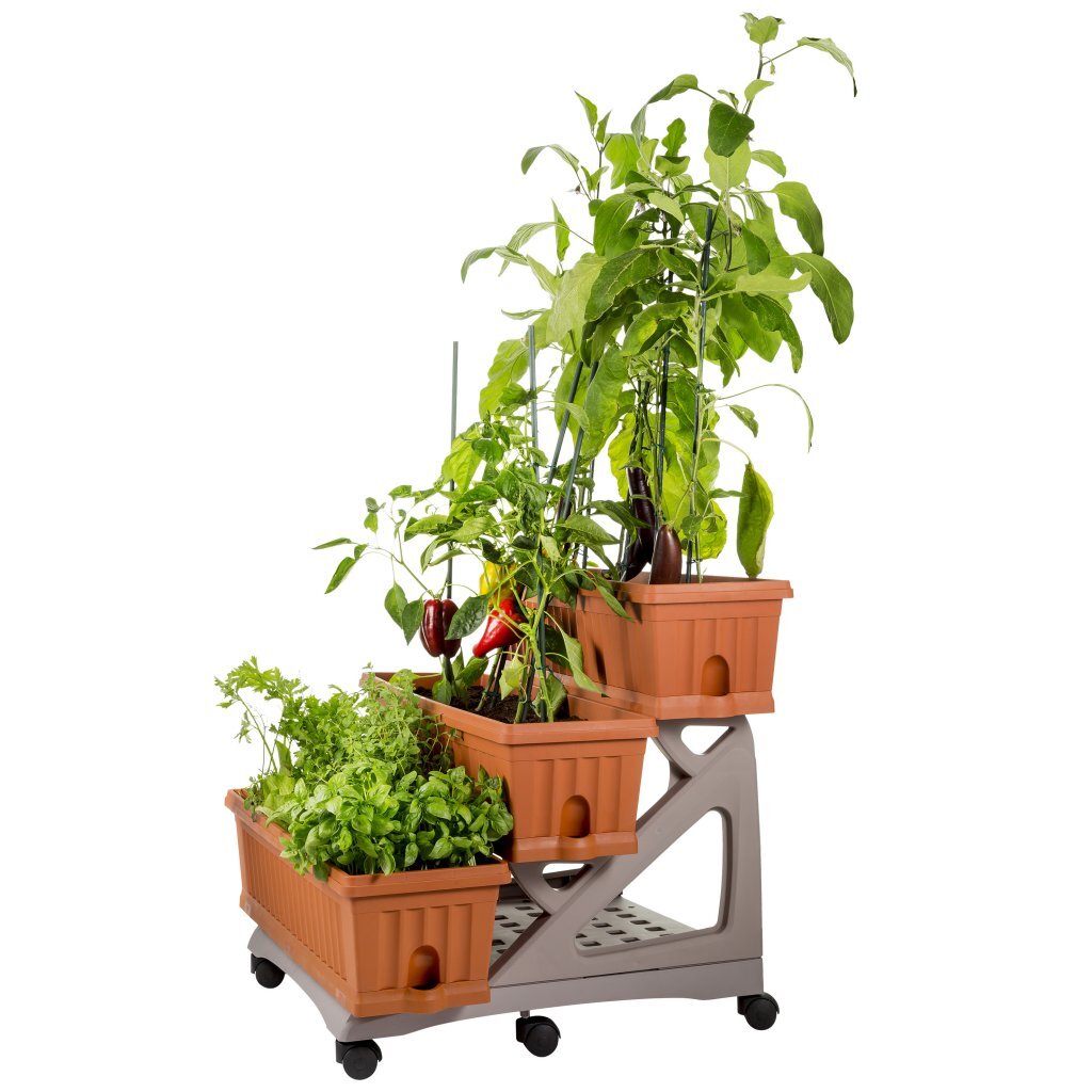 Bama orto di kit jardinières 80x74x73 cm terre cuite