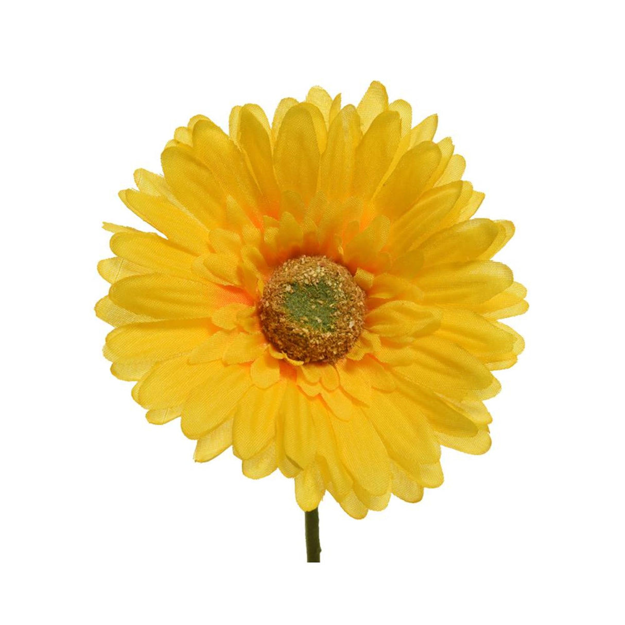 Décoris