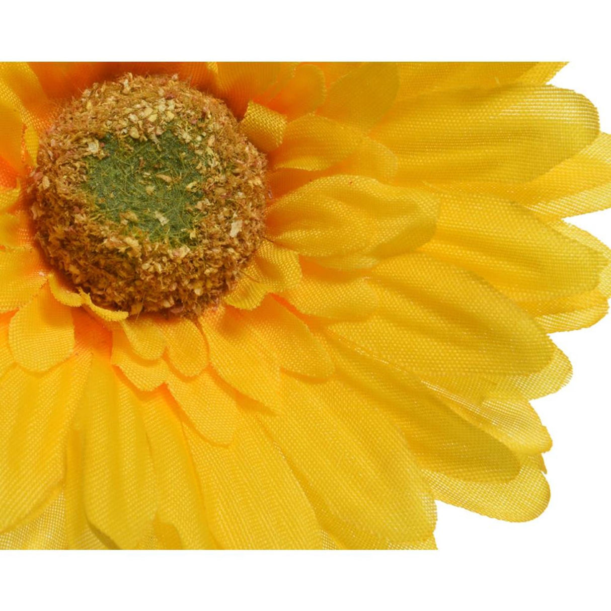 Décoris