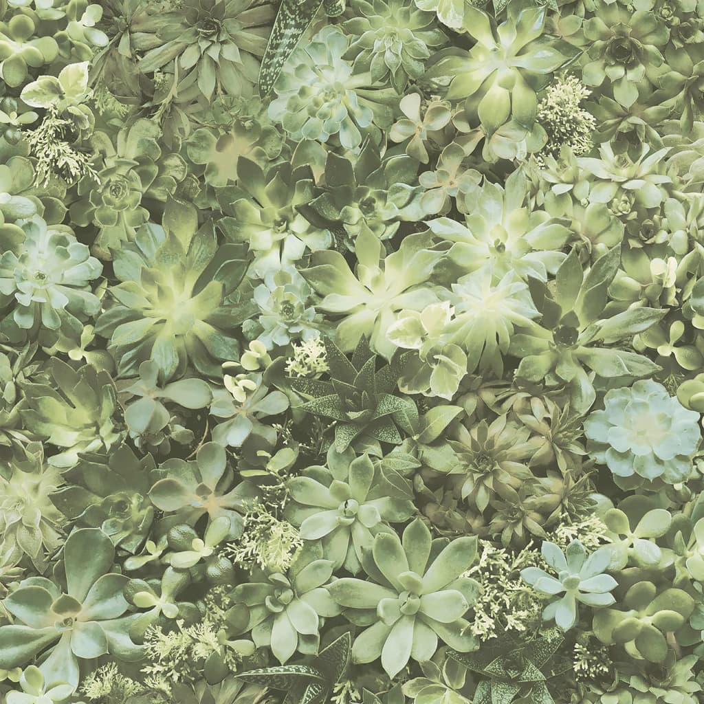 NOORDWAND Fond d'écran à feuilles persistantes Green et beige succulent