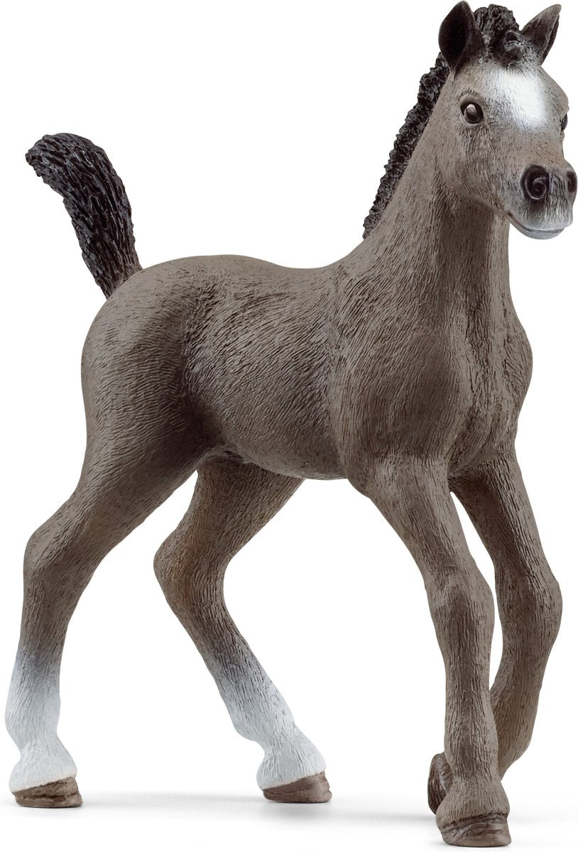 Club hippique Schleich - poulain selle français - 13957