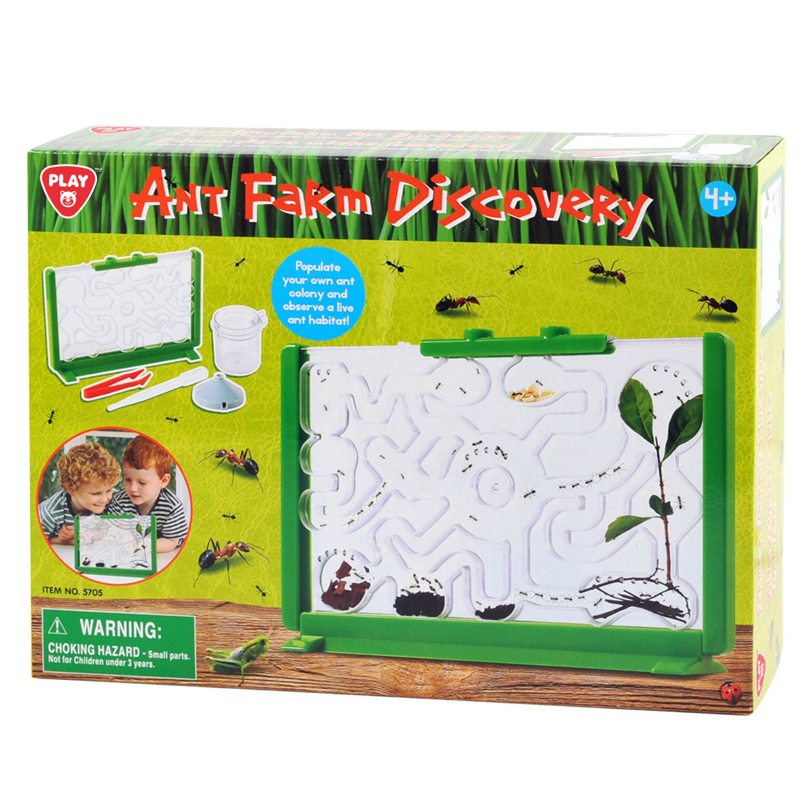 Boîte d'observation des fourmis Playgo