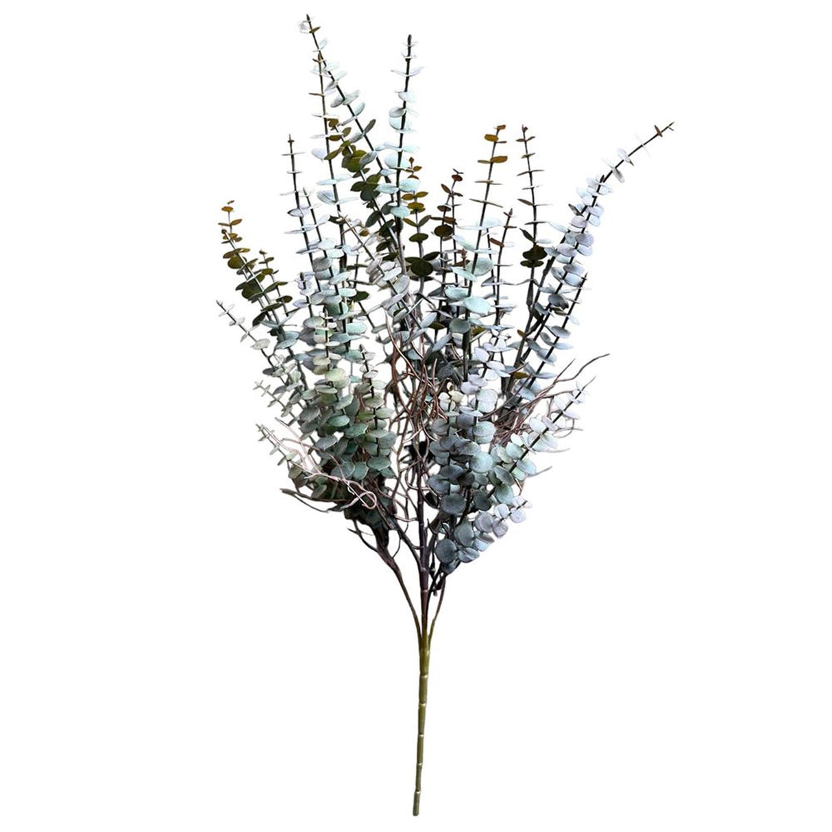 Roberts collection branche artificielle eucalyptus bordeaux 60cm